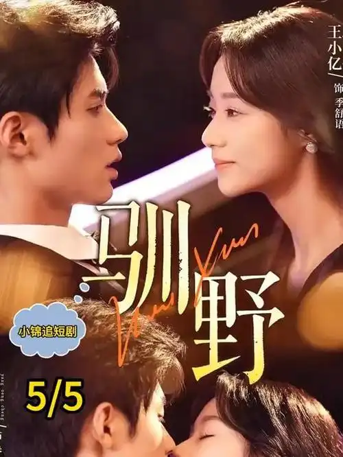 剧集条目《旧城新声》封面占位图